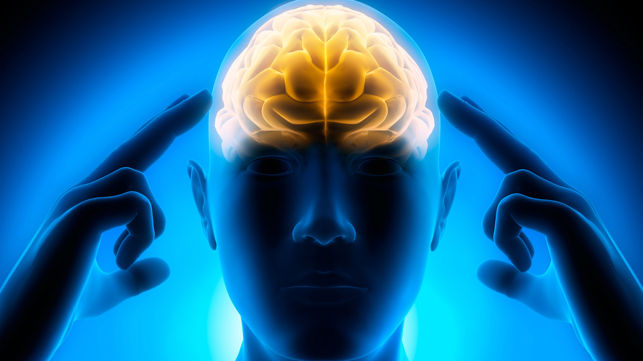 success , mental health , contact , daycare , health skill , virginia